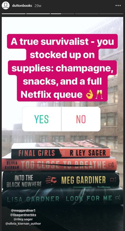 Up Your Instagram Game With Stories Netgalley