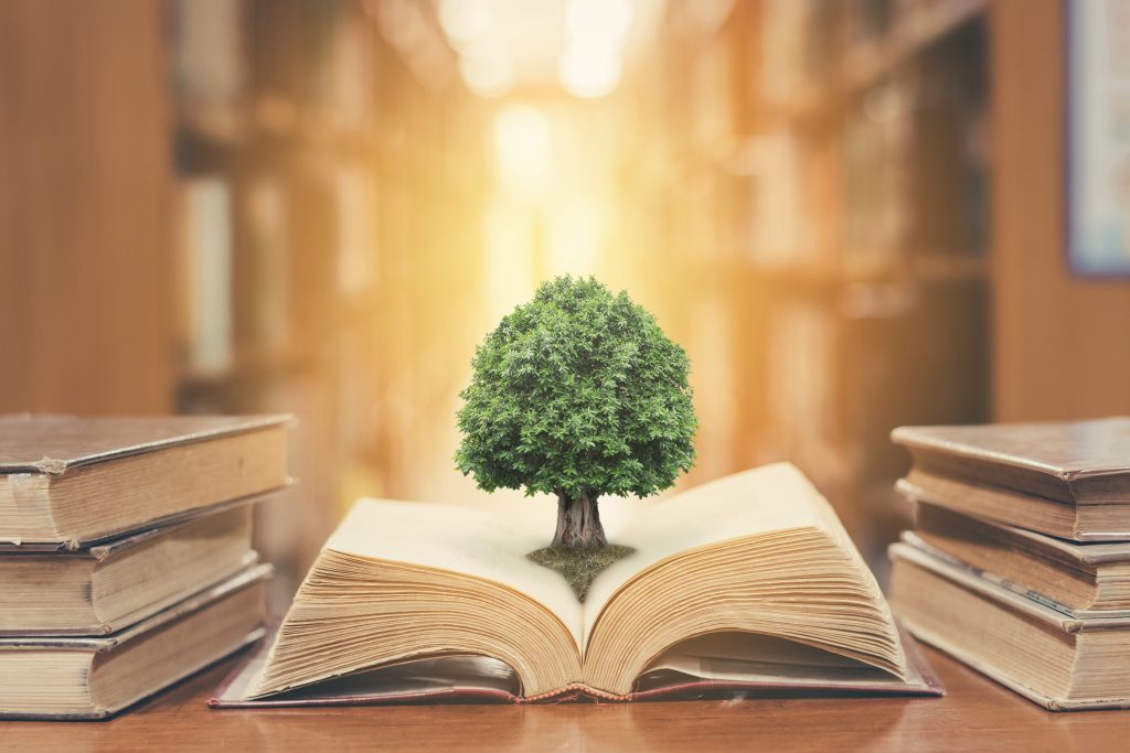 Open book with a tree growing from its pages